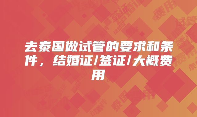 去泰国做试管的要求和条件，结婚证/签证/大概费用