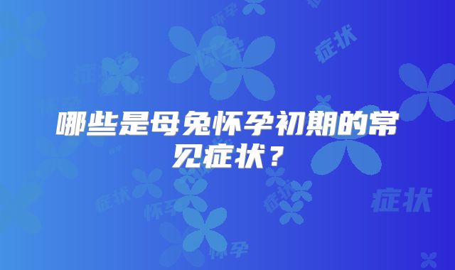 哪些是母兔怀孕初期的常见症状？