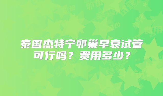 泰国杰特宁卵巢早衰试管可行吗?费用多少?