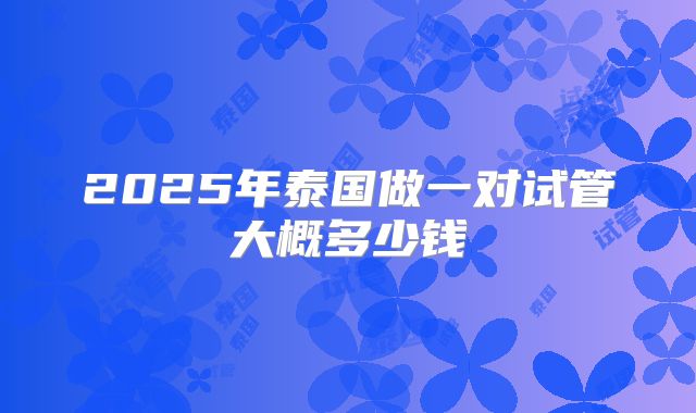 2025年泰国做一对试管大概多少钱