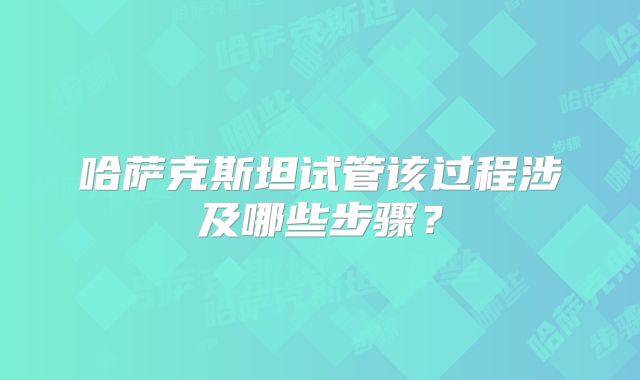 哈萨克斯坦试管该过程涉及哪些步骤?