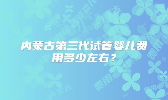 内蒙古第三代试管婴儿费用多少左右？