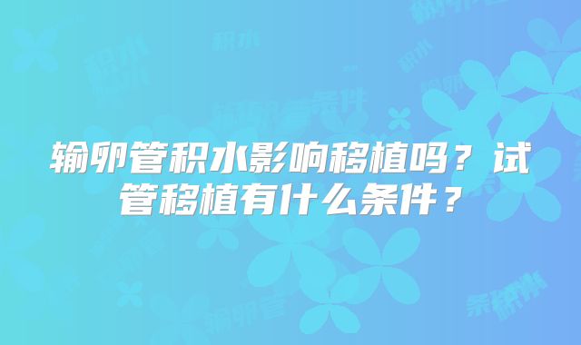 输卵管积水影响移植吗?试管移植有什么条件?