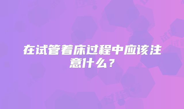 在试管着床过程中应该注意什么？
