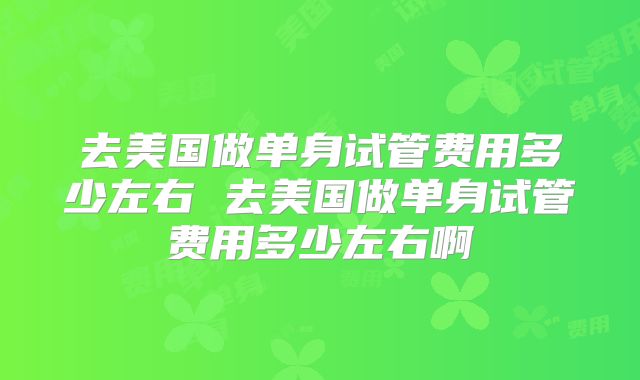 去美国做单身试管费用多少左右 去美国做单身试管费用多少左右啊