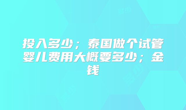 投入多少；泰国做个试管婴儿费用大概要多少；金钱