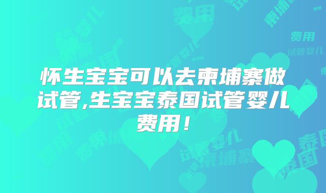 怀生宝宝可以去柬埔寨做试管,生宝宝泰国试管婴儿费用!