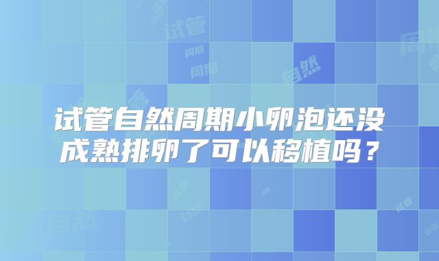 试管自然周期小卵泡还没成熟排卵了可以移植吗？