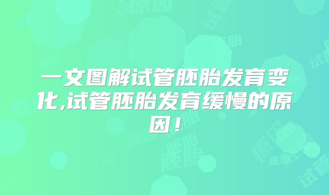一文图解试管胚胎发育变化,试管胚胎发育缓慢的原因！