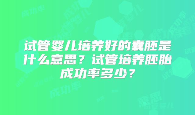 试管婴儿培养好的囊胚是什么意思？试管培养胚胎成功率多少？