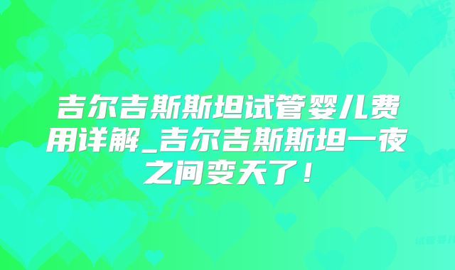 吉尔吉斯斯坦试管婴儿费用详解_吉尔吉斯斯坦一夜之间变天了！