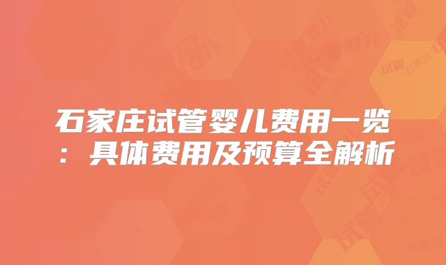石家庄试管婴儿费用一览：具体费用及预算全解析