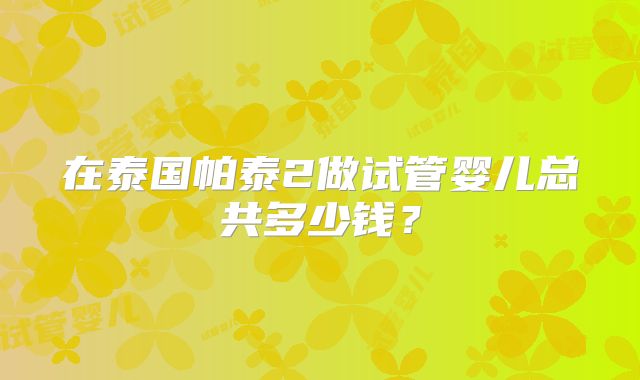 在泰国帕泰2做试管婴儿总共多少钱？