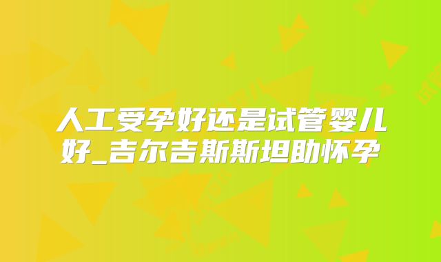 人工受孕好还是试管婴儿好_吉尔吉斯斯坦助怀孕