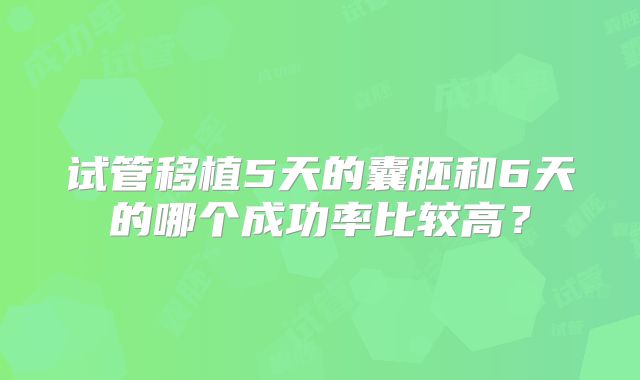 试管移植5天的囊胚和6天的哪个成功率比较高？