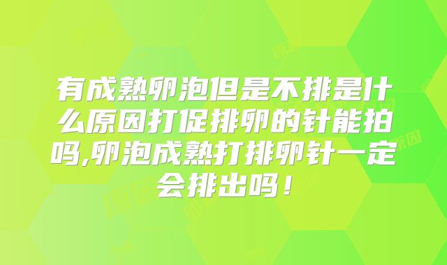 有成熟卵泡但是不排是什么原因打促排卵的针能拍吗,卵泡成熟打排卵针一定会排出吗!