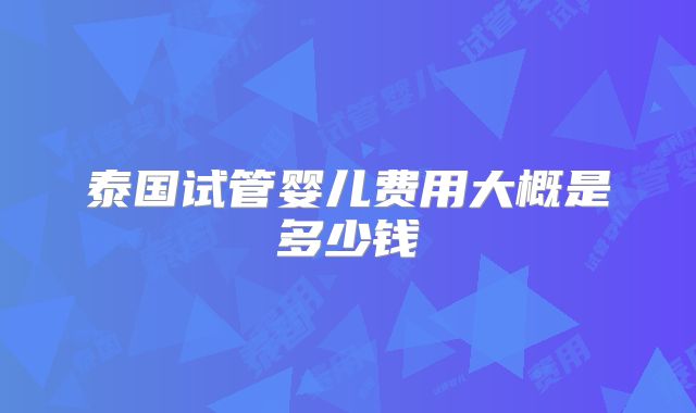 泰国试管婴儿费用大概是多少钱