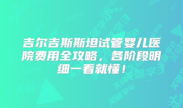 吉尔吉斯斯坦试管婴儿医院费用全攻略,各阶段明细一看就懂!