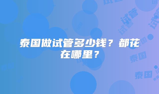 泰国做试管多少钱？都花在哪里？