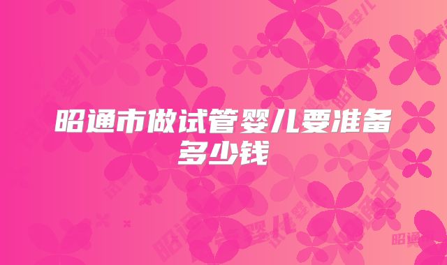 昭通市做试管婴儿要准备多少钱