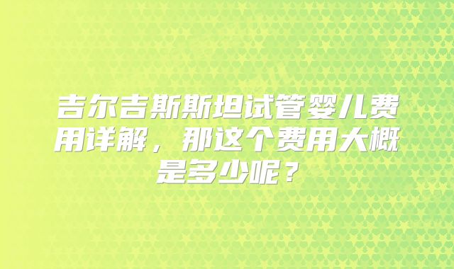吉尔吉斯斯坦试管婴儿费用详解，那这个费用大概是多少呢？