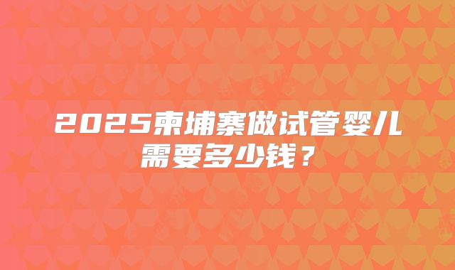 2025柬埔寨做试管婴儿需要多少钱？