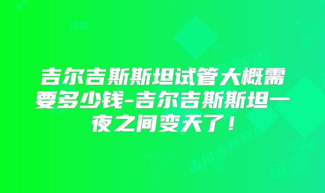 吉尔吉斯斯坦试管大概需要多少钱-吉尔吉斯斯坦一夜之间变天了！