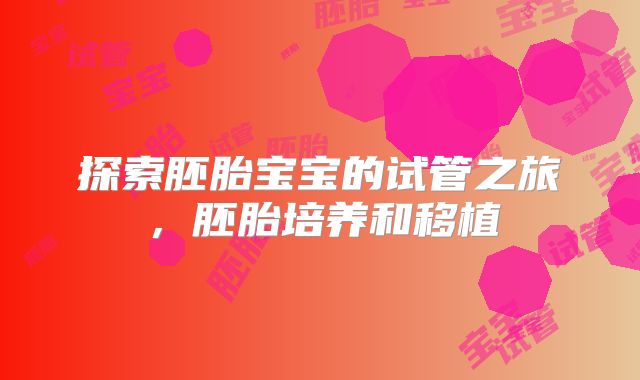 探索胚胎宝宝的试管之旅，胚胎培养和移植
