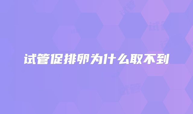 试管促排卵为什么取不到