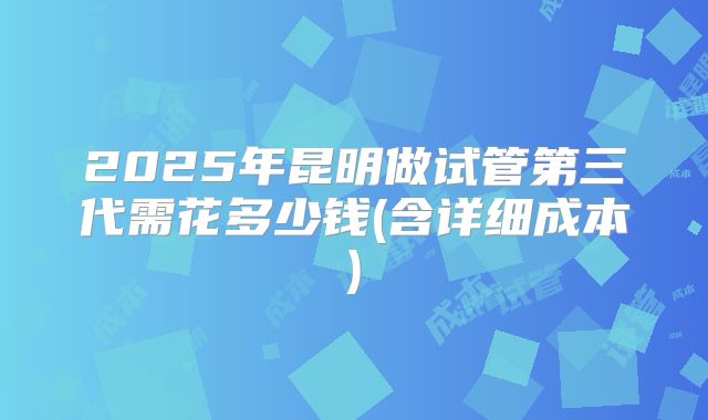 2025年昆明做试管第三代需花多少钱(含详细成本)