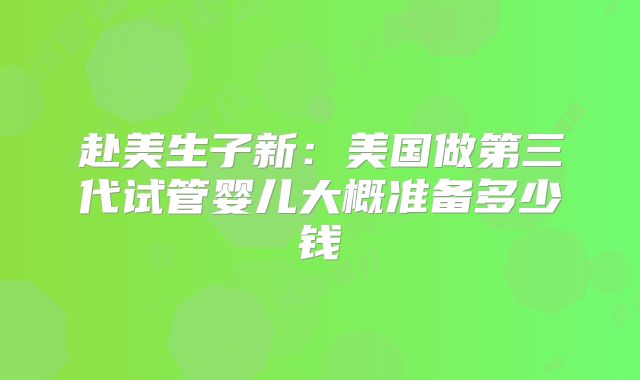 赴美生子新：美国做第三代试管婴儿大概准备多少钱