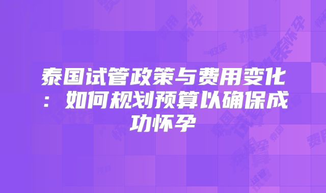 泰国试管政策与费用变化:如何规划预算以确保成功怀孕