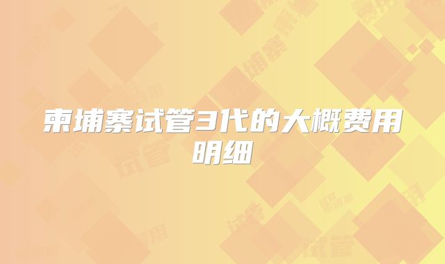 柬埔寨试管3代的大概费用明细