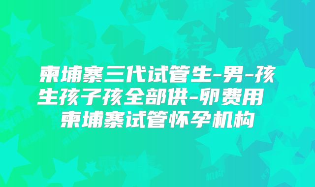 柬埔寨三代试管生-男-孩生孩子孩全部供-卵费用 柬埔寨试管怀孕机构