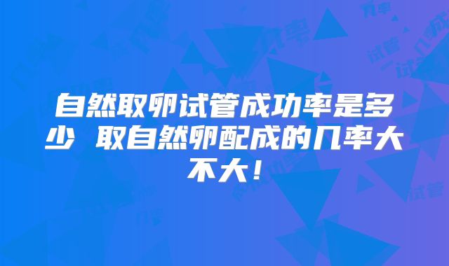 自然取卵试管成功率是多少 取自然卵配成的几率大不大！