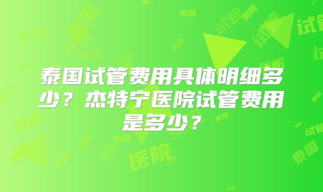 泰国试管费用具体明细多少?杰特宁医院试管费用是多少?