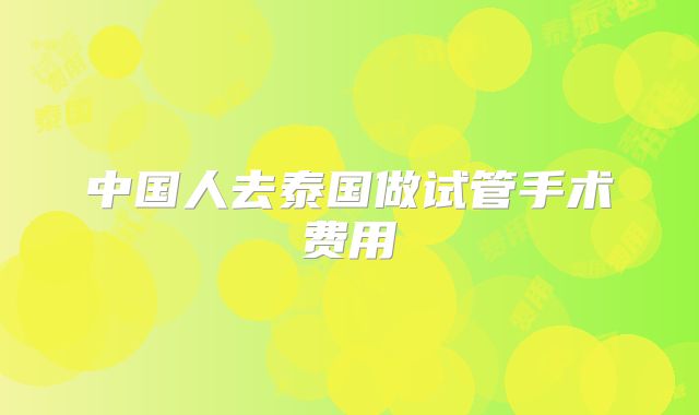 中国人去泰国做试管手术费用