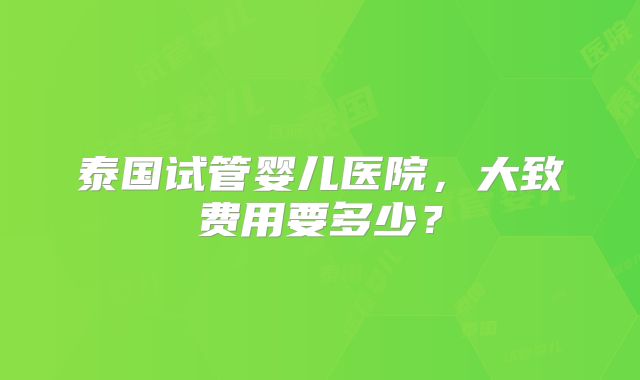 泰国试管婴儿医院，大致费用要多少？