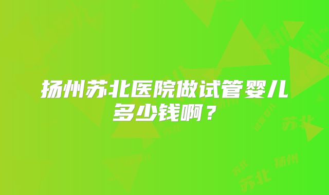 扬州苏北医院做试管婴儿多少钱啊？