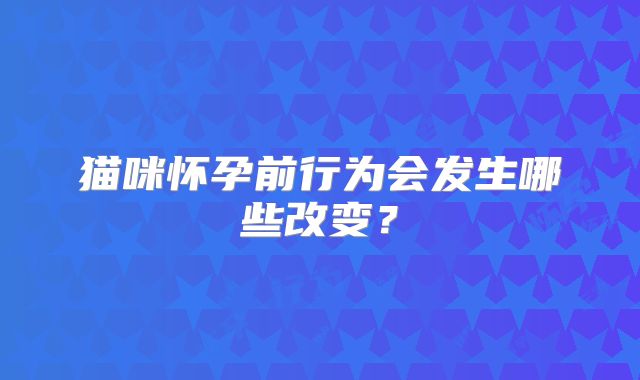 猫咪怀孕前行为会发生哪些改变？