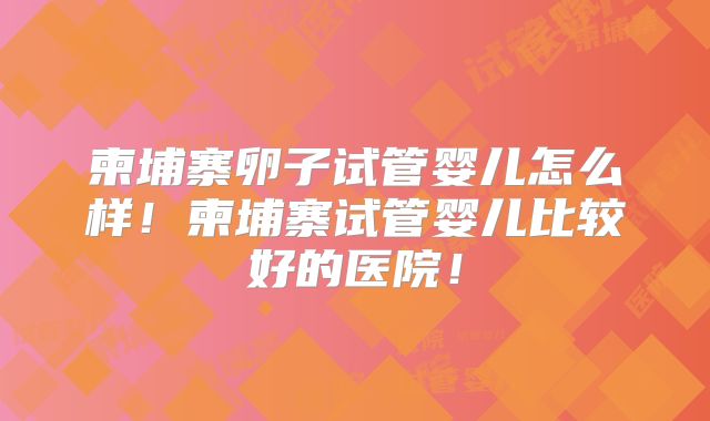 柬埔寨卵子试管婴儿怎么样！柬埔寨试管婴儿比较好的医院！