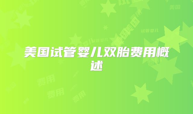 美国试管婴儿双胎费用概述