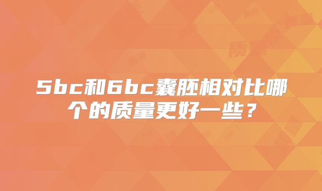5bc和6bc囊胚相对比哪个的质量更好一些？