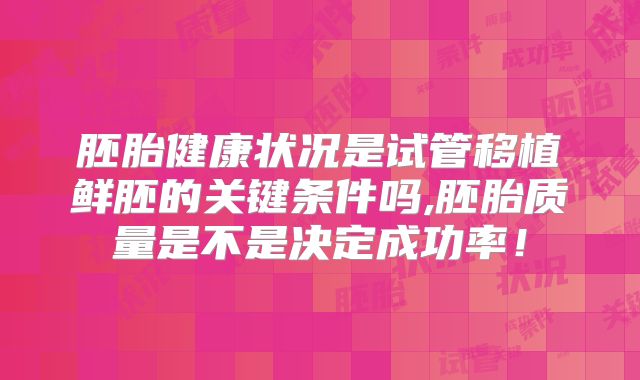 胚胎健康状况是试管移植鲜胚的关键条件吗,胚胎质量是不是决定成功率！
