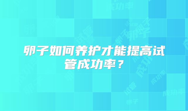 卵子如何养护才能提高试管成功率？