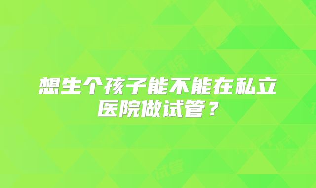 想生个孩子能不能在私立医院做试管?