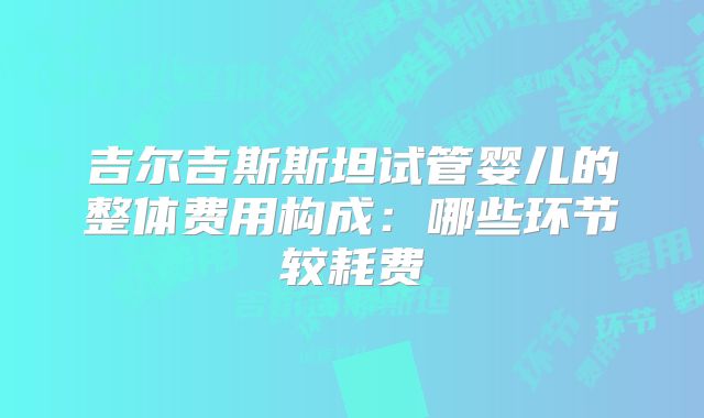 吉尔吉斯斯坦试管婴儿的整体费用构成:哪些环节较耗费