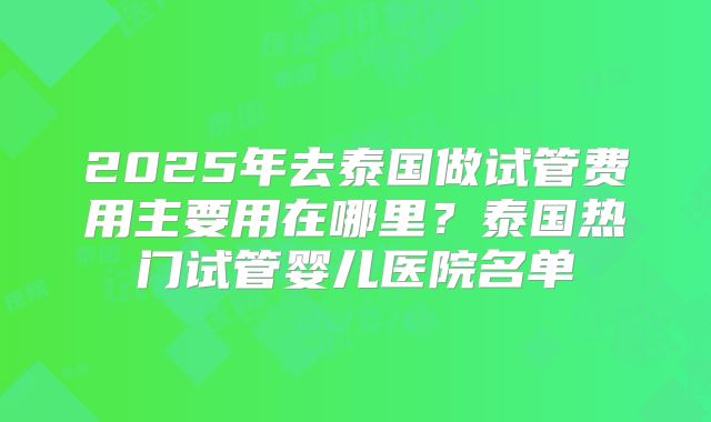 2025年去泰国做试管费用主要用在哪里？泰国热门试管婴儿医院名单