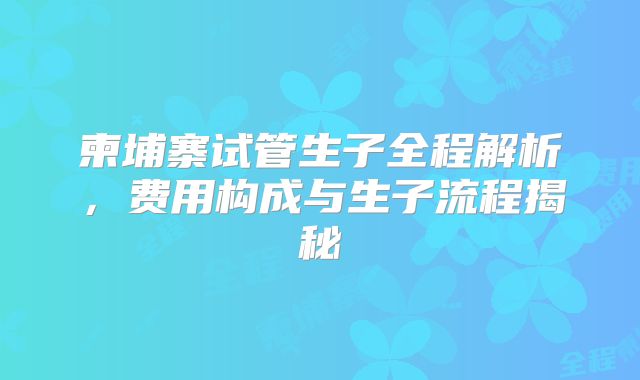 柬埔寨试管生子全程解析，费用构成与生子流程揭秘