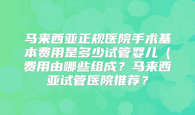 马来西亚正规医院手术基本费用是多少试管婴儿(费用由哪些组成?马来西亚试管医院推荐?